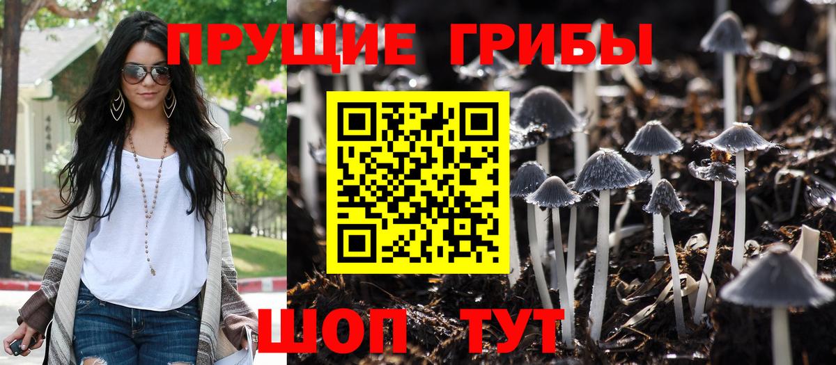 Галлюциногенные грибы ЛСД  Вход с VPN  где можно купить   Топки  Псилоцибиновые грибы MAGIC MUSHROOMS 